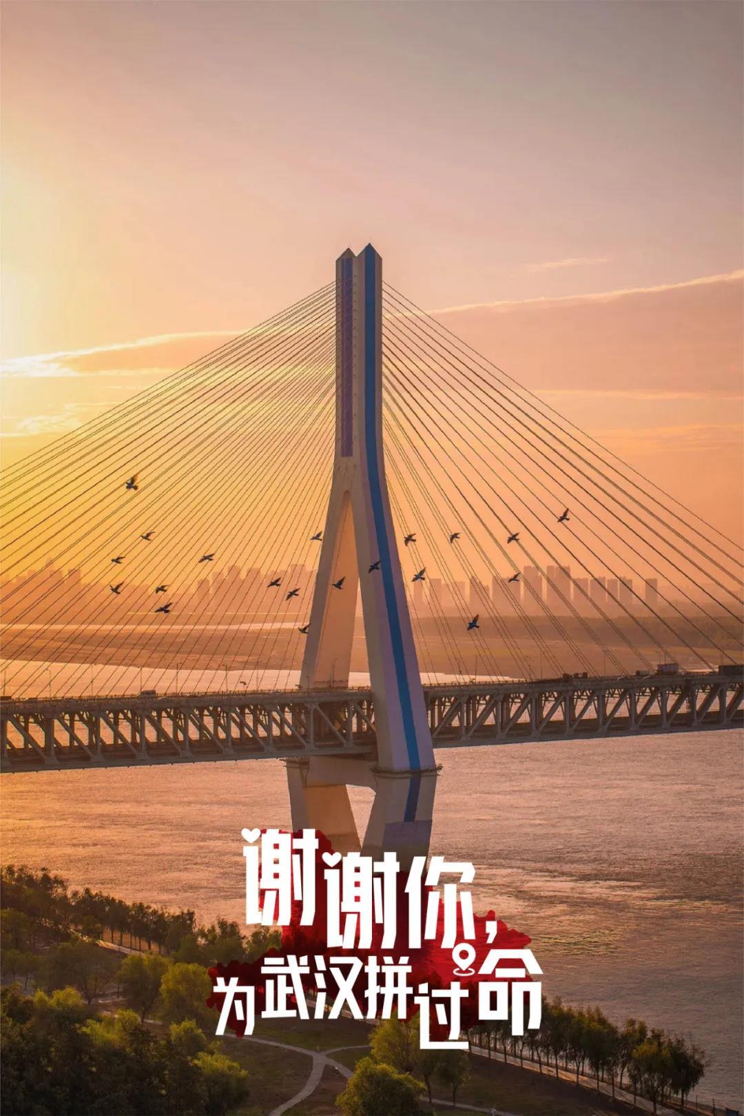 一頓暴哭！武漢用32張海報，對32個支援地區(qū)說謝謝