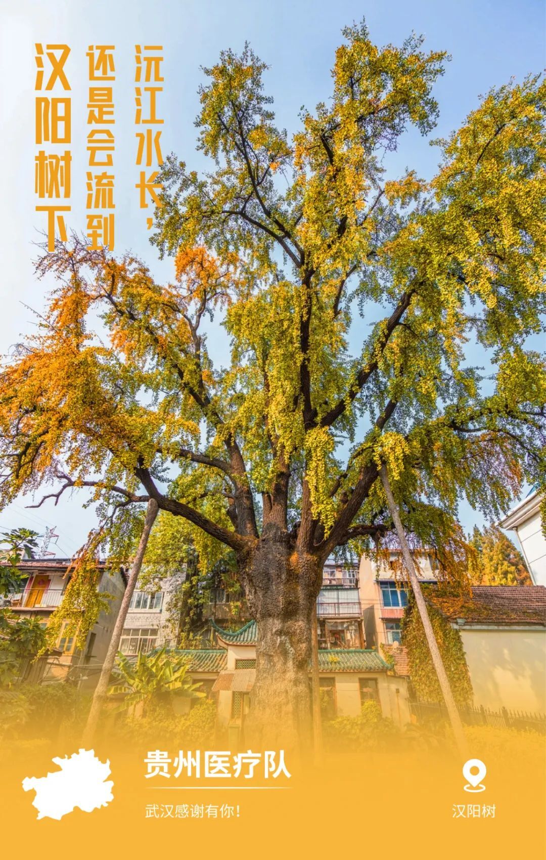 一頓暴哭！武漢用32張海報，對32個支援地區(qū)說謝謝