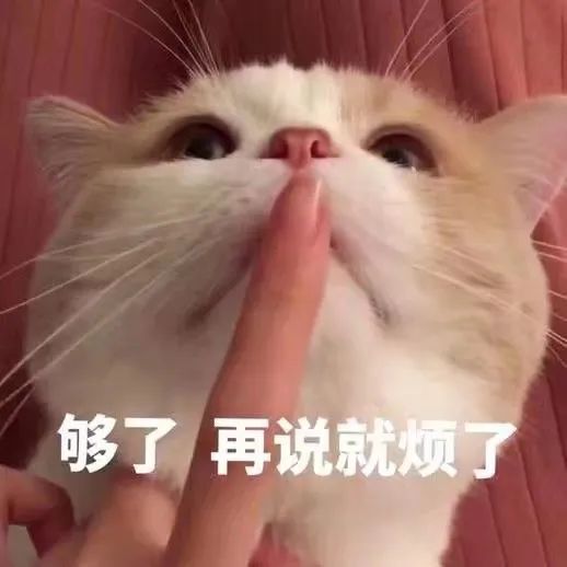 全網(wǎng)十大最欠揍流行語，沒一句我愛聽的