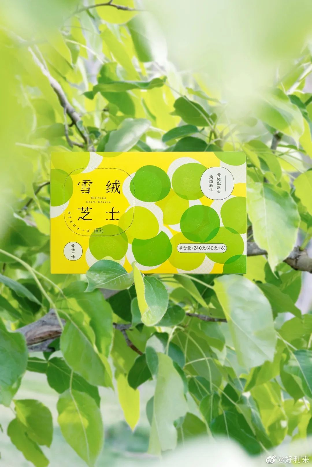 好利來(lái)，又一家被美食耽誤的設(shè)計(jì)公司