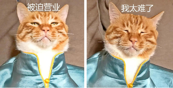 中央美院“學(xué)士服”美上熱搜！網(wǎng)友：這是什么神仙設(shè)計(jì)？