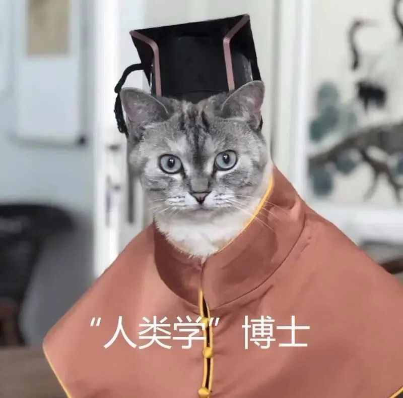 中央美院“學(xué)士服”美上熱搜！網(wǎng)友：這是什么神仙設(shè)計(jì)？