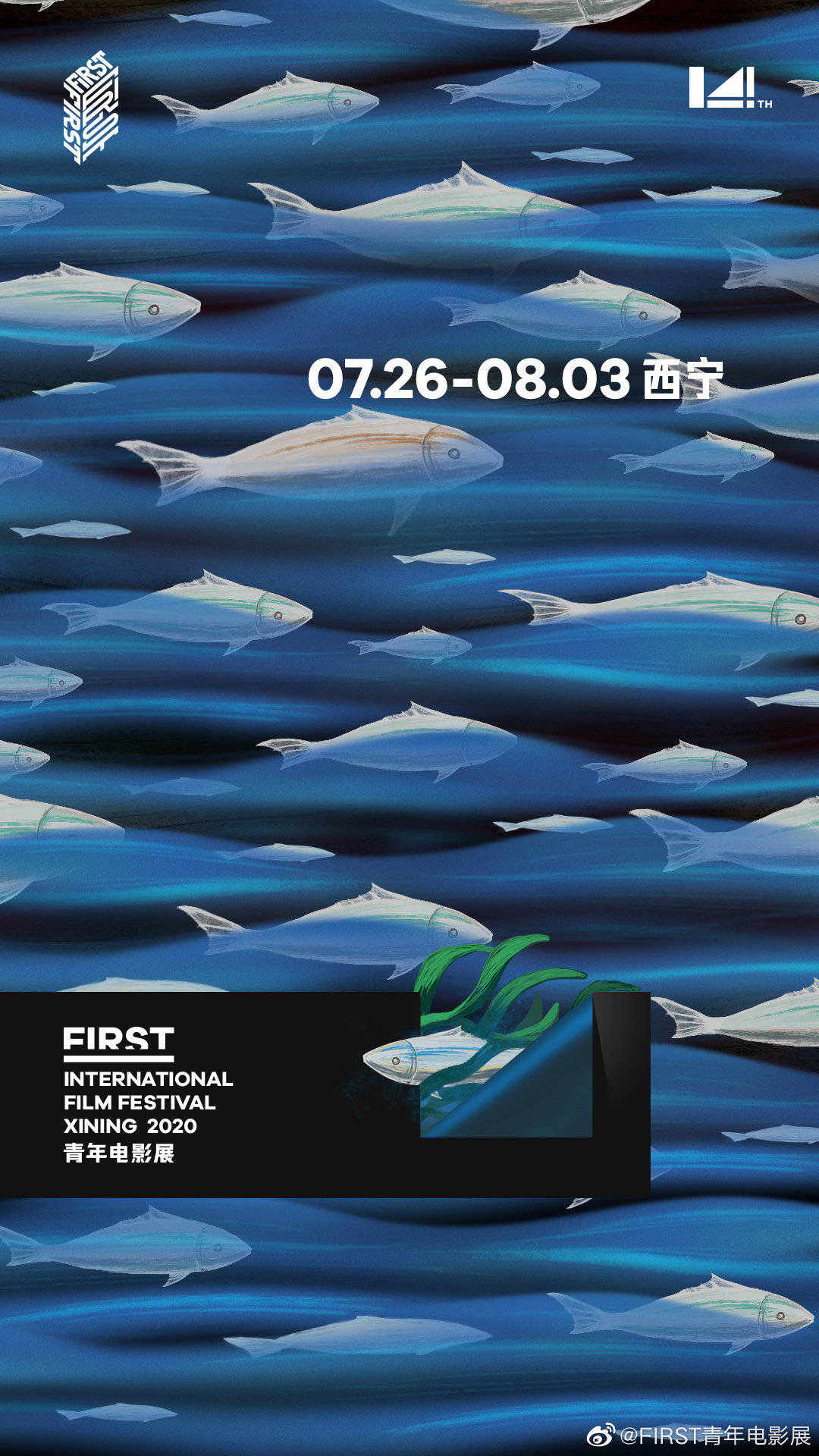 終于能去電影院了！這里還有一波小眾電影在等你