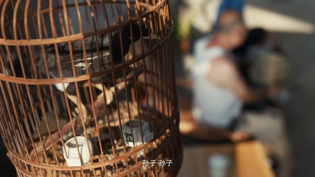 寶潔攜手墨跡天氣推出生活天氣預(yù)報，拯救生活熱情暴跌的你