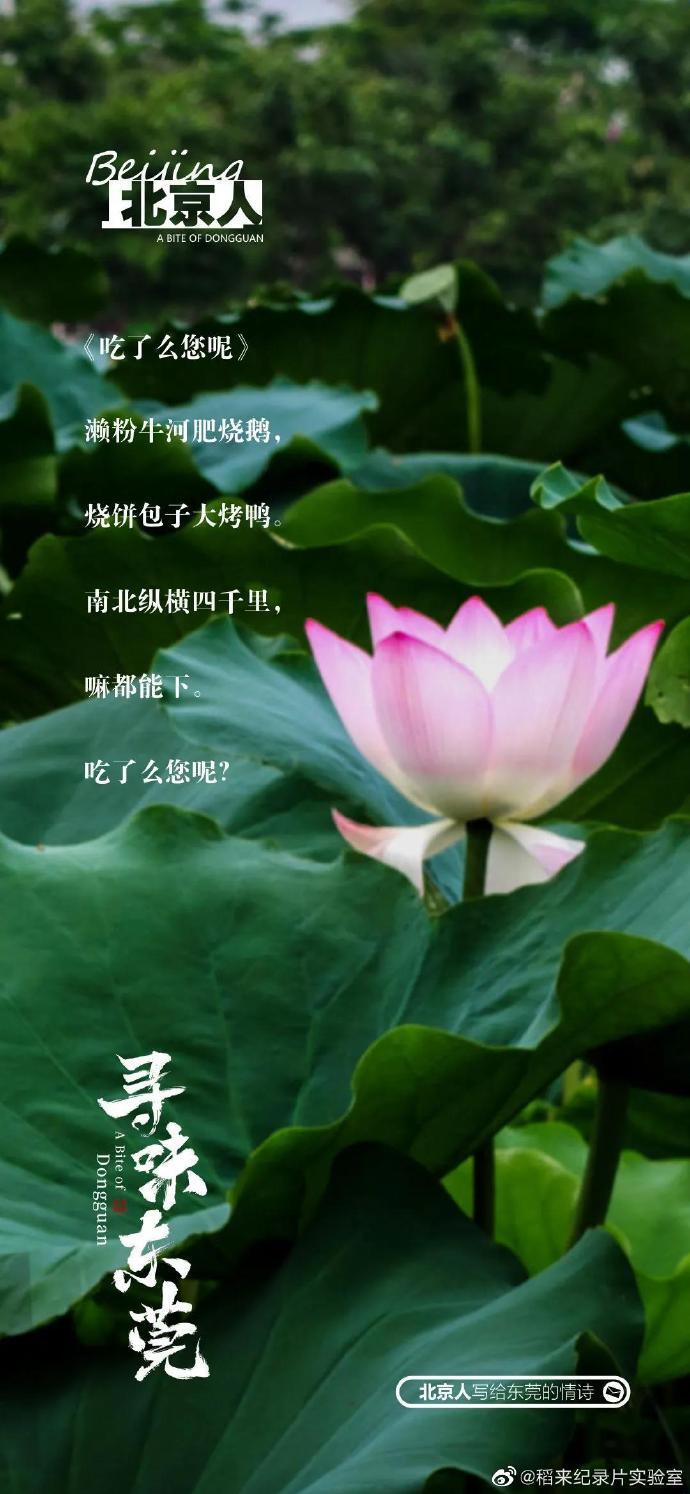 美食紀(jì)錄片《尋味東莞》收官，這35封走心“情詩(shī)”我給滿分