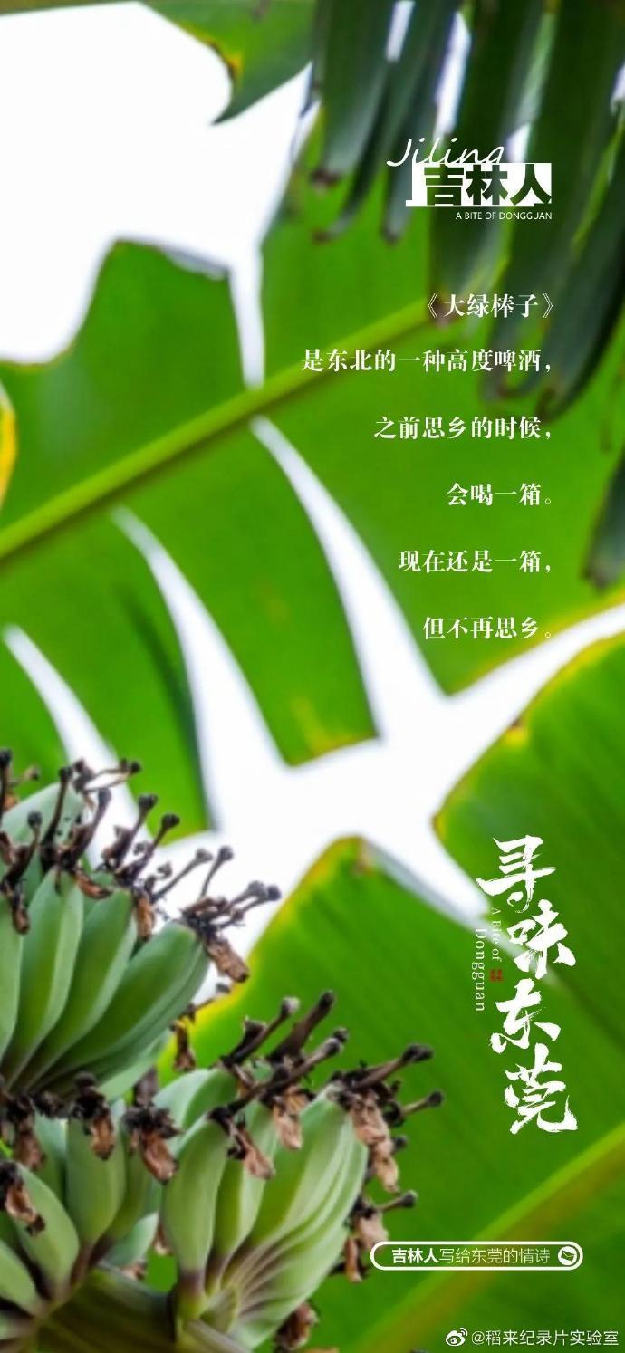 美食紀(jì)錄片《尋味東莞》收官，這35封走心“情詩(shī)”我給滿分