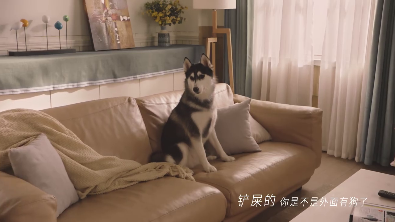 餓了么全面升級：外賣不止送餐，愛什么來什么