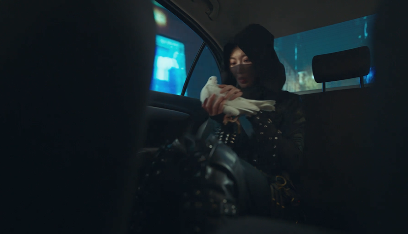 最年輕的“三金影后”周冬雨又拍新片，這次她演什么？