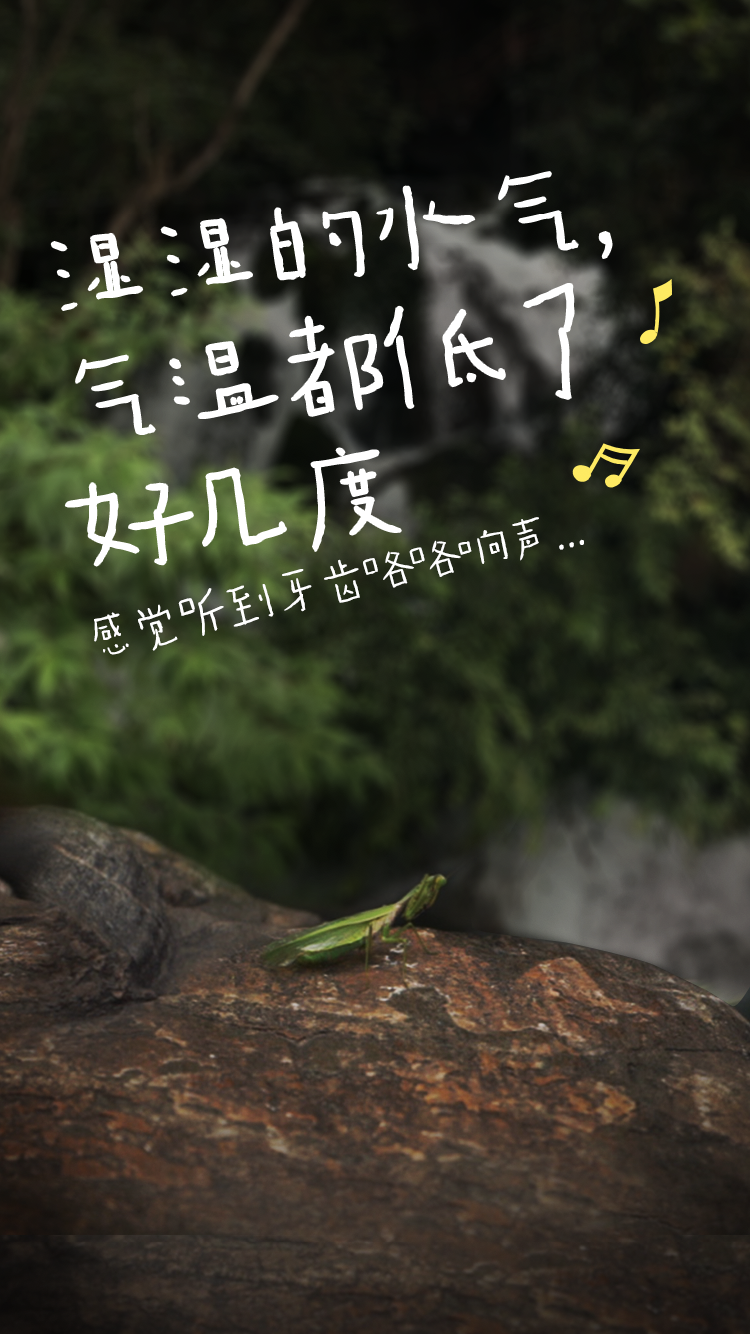云山上的音樂家，聆聽大自然的旋律