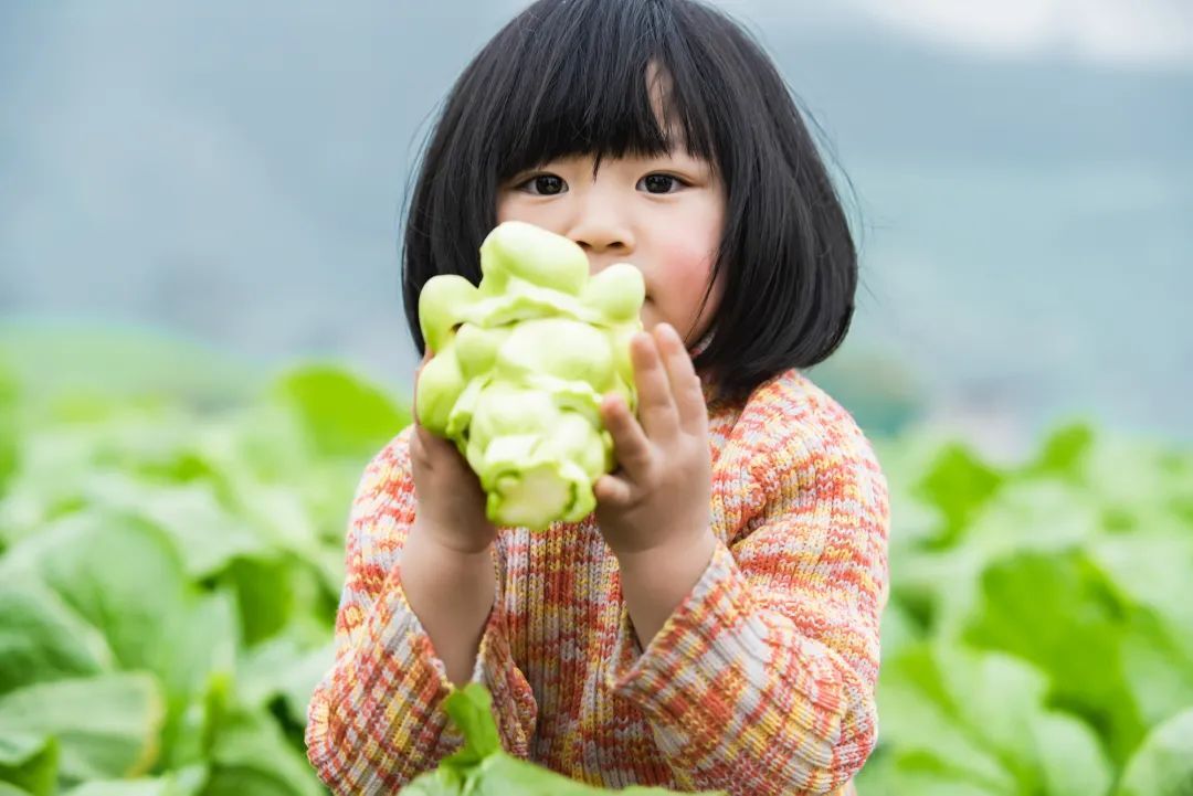 中國國家地理為《烏江》拍紀(jì)錄片，探索一包榨菜的前世今生