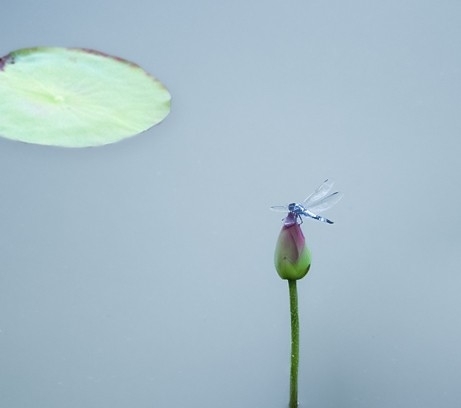 巧妙進(jìn)行“點(diǎn)”構(gòu)圖，讓你的照片不再平凡！