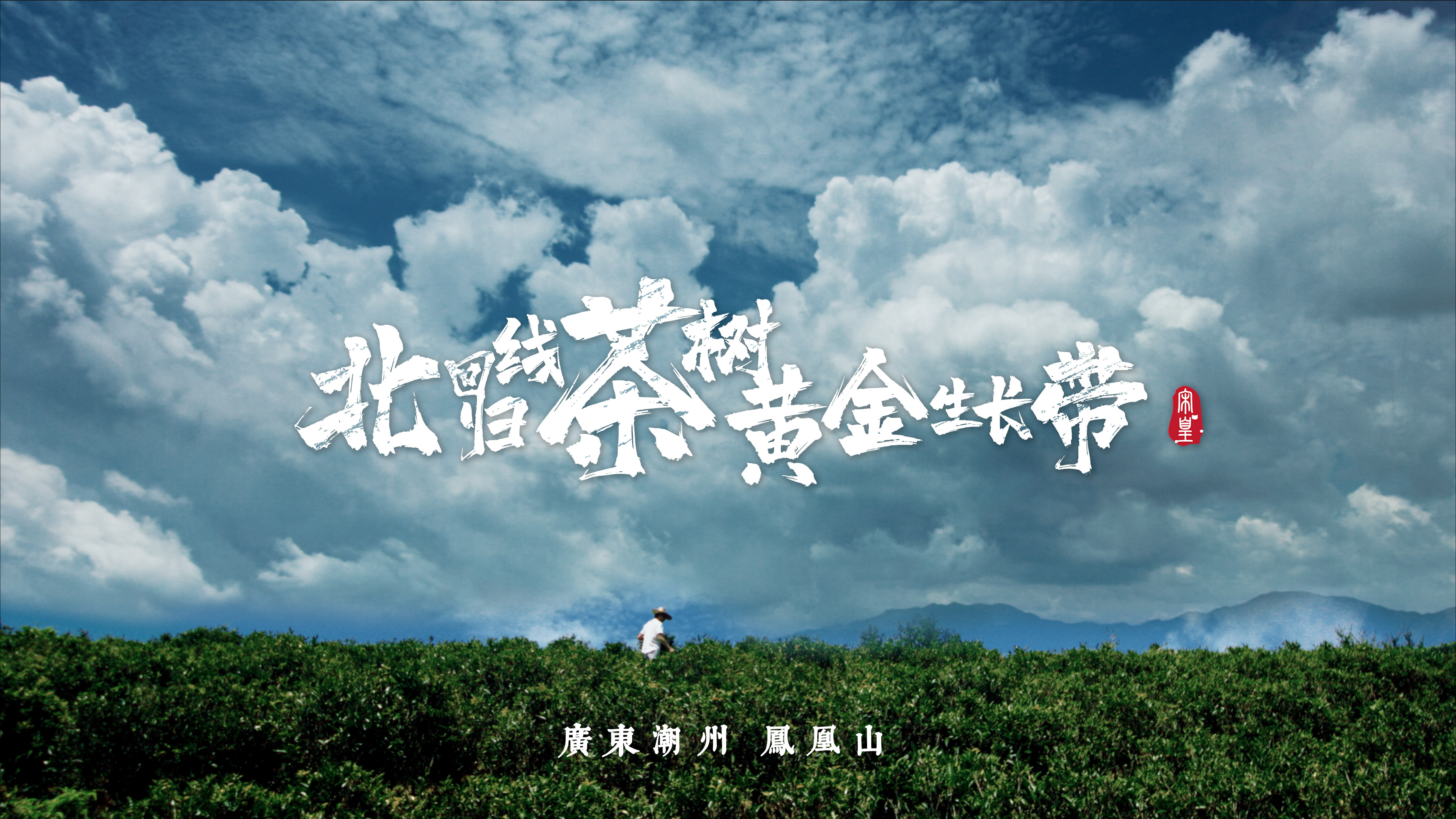 海報(bào).jpg