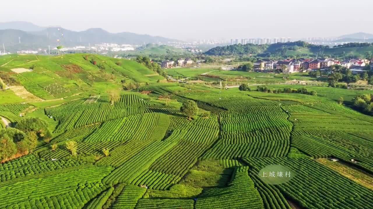 龍塢創(chuàng)意宣傳片《龍塢問茶詩(shī)》