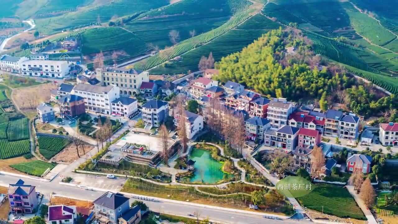 龍塢創(chuàng)意宣傳片《龍塢問茶詩(shī)》