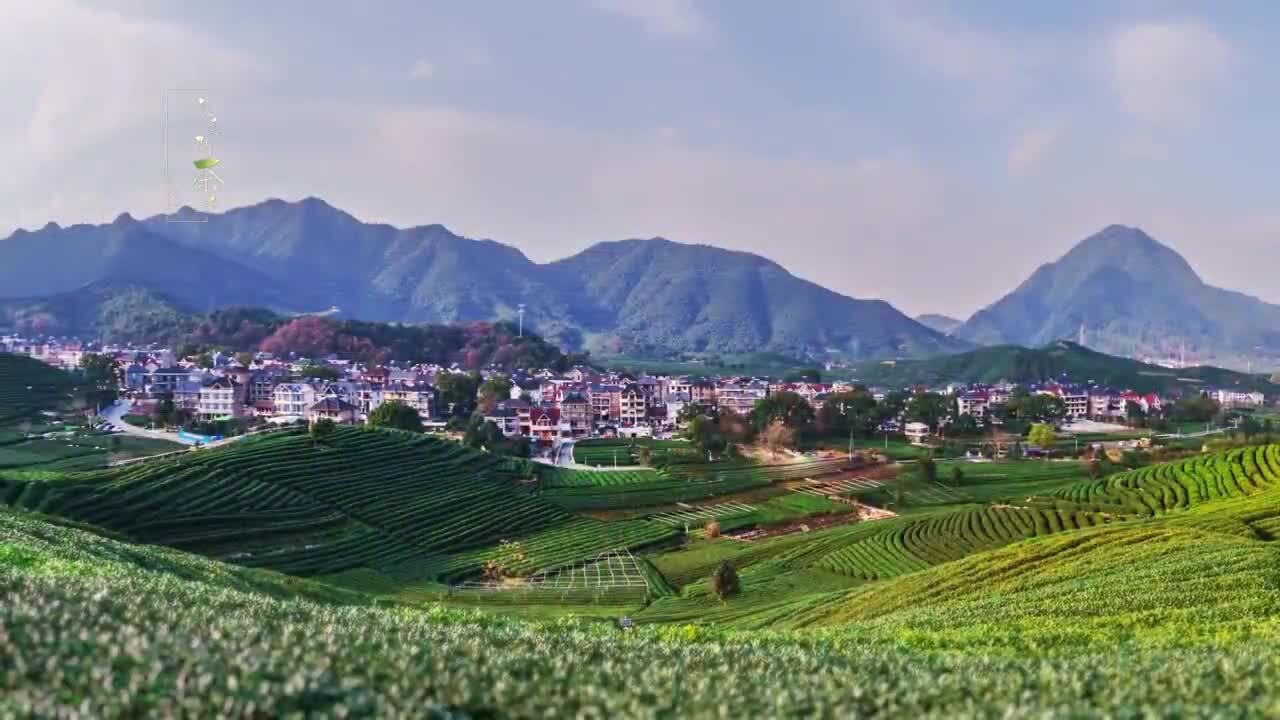龍塢創(chuàng)意宣傳片《龍塢問茶詩(shī)》