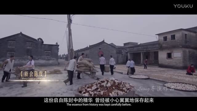 新會(huì)城市宣傳片《脈脈相傳?新會(huì)》