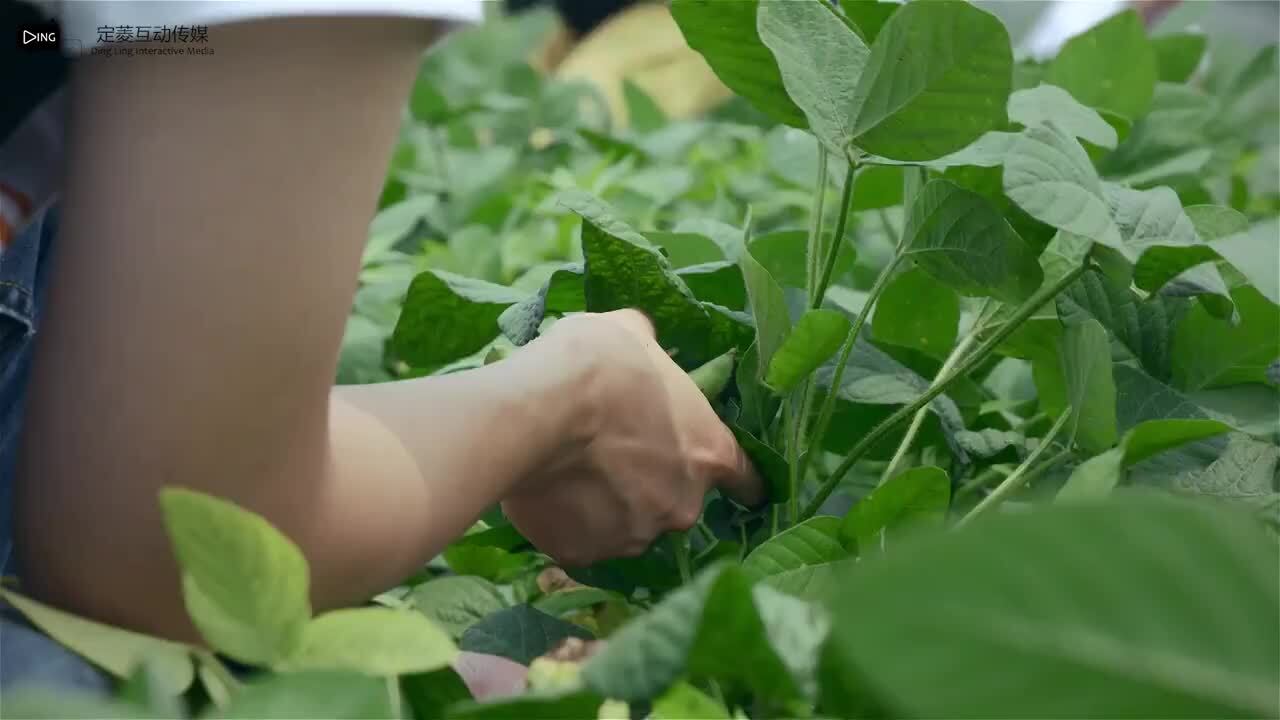 雷行萬里-泗陽春暉公益行動(dòng)宣傳片《苦難與幸?！?>									<div   id=