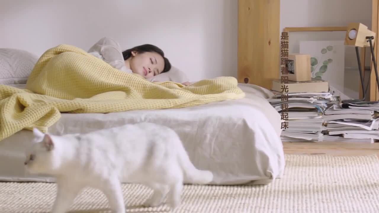 平安好房廣告片《安放每個住房夢想》