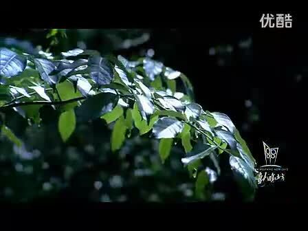濰坊城市宣傳片《新濰坊》