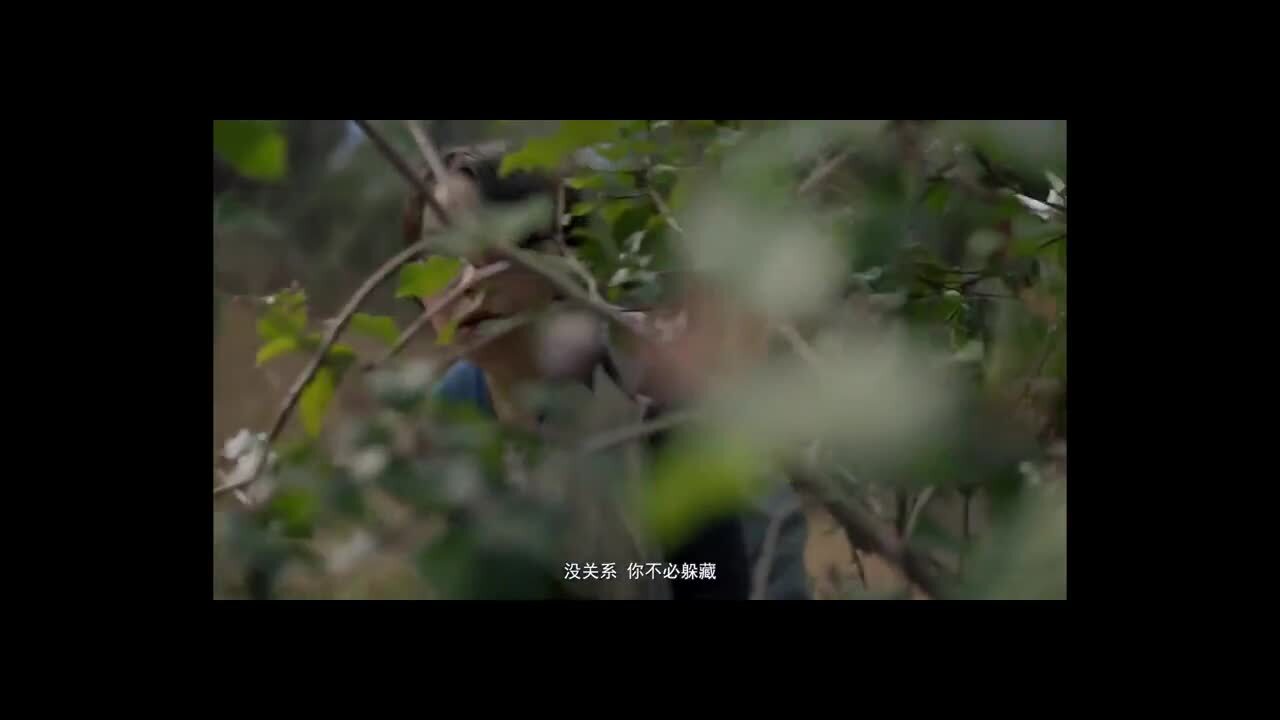 哈里的剃須刀微電影 《像一個(gè)男人一樣》