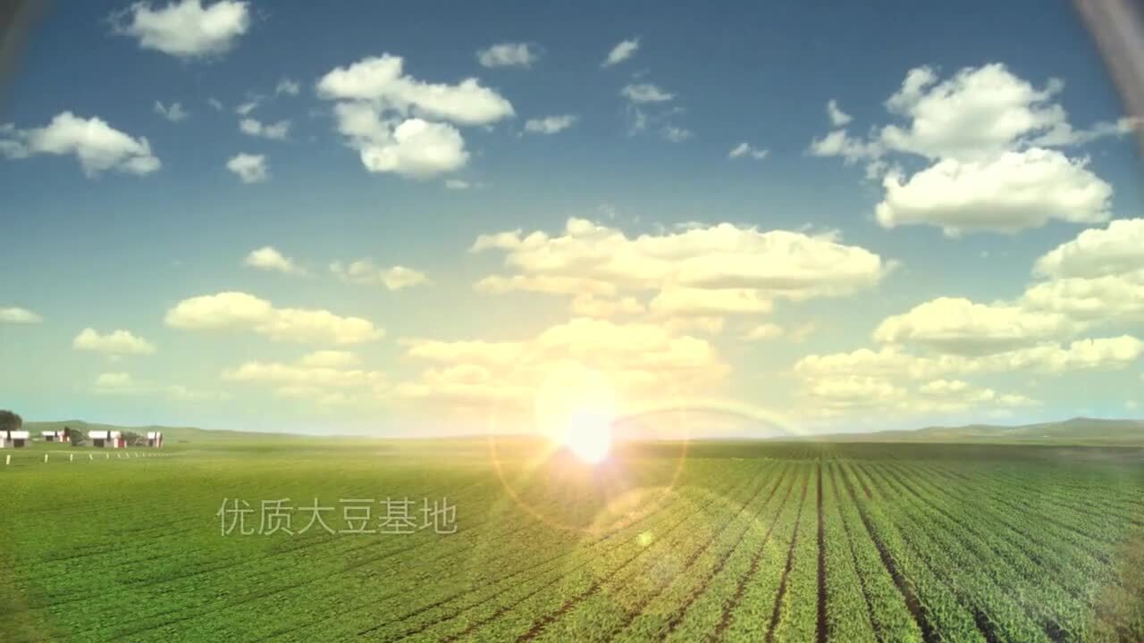廣州思遠(yuǎn)影視廣告公司 東古一品鮮TVC