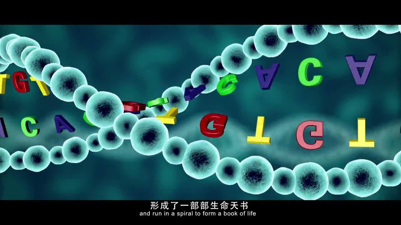 中科院基因組研究所宣傳片
