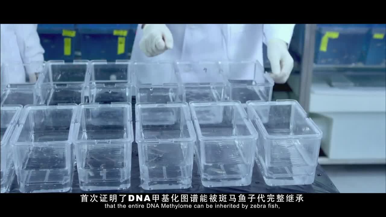 中科院基因組研究所宣傳片