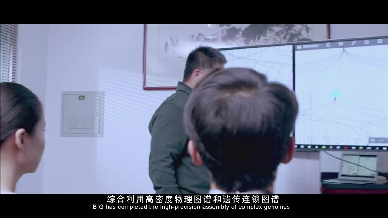 中科院基因組研究所宣傳片