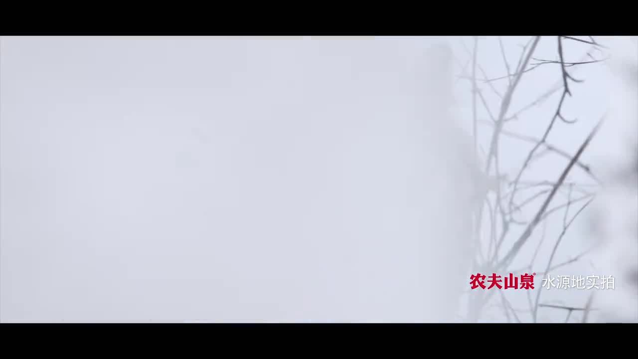 農(nóng)夫山泉史上最美廣告片《等一只鹿》