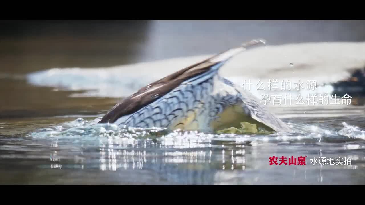 農(nóng)夫山泉史上最美廣告片《等一只鹿》