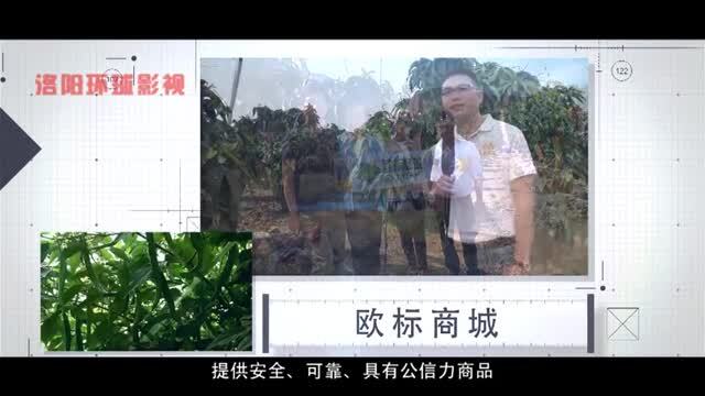 集團企業(yè)宣傳片出樣片 