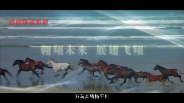 集團企業(yè)宣傳片出樣片 