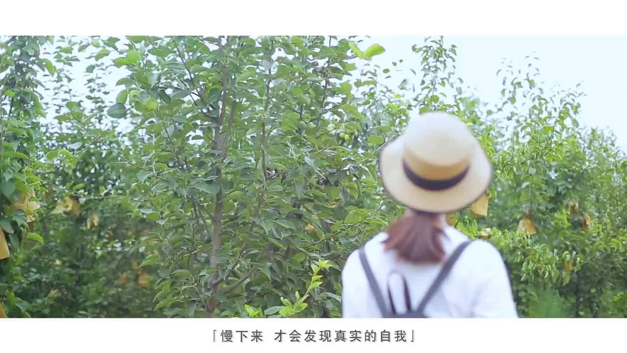 封丘城市宣傳片《時光在左，你在右》