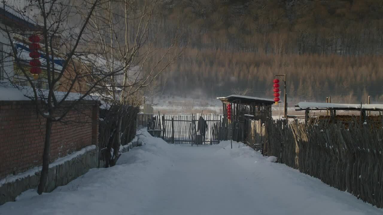 大疆暖心廣告《后院》
