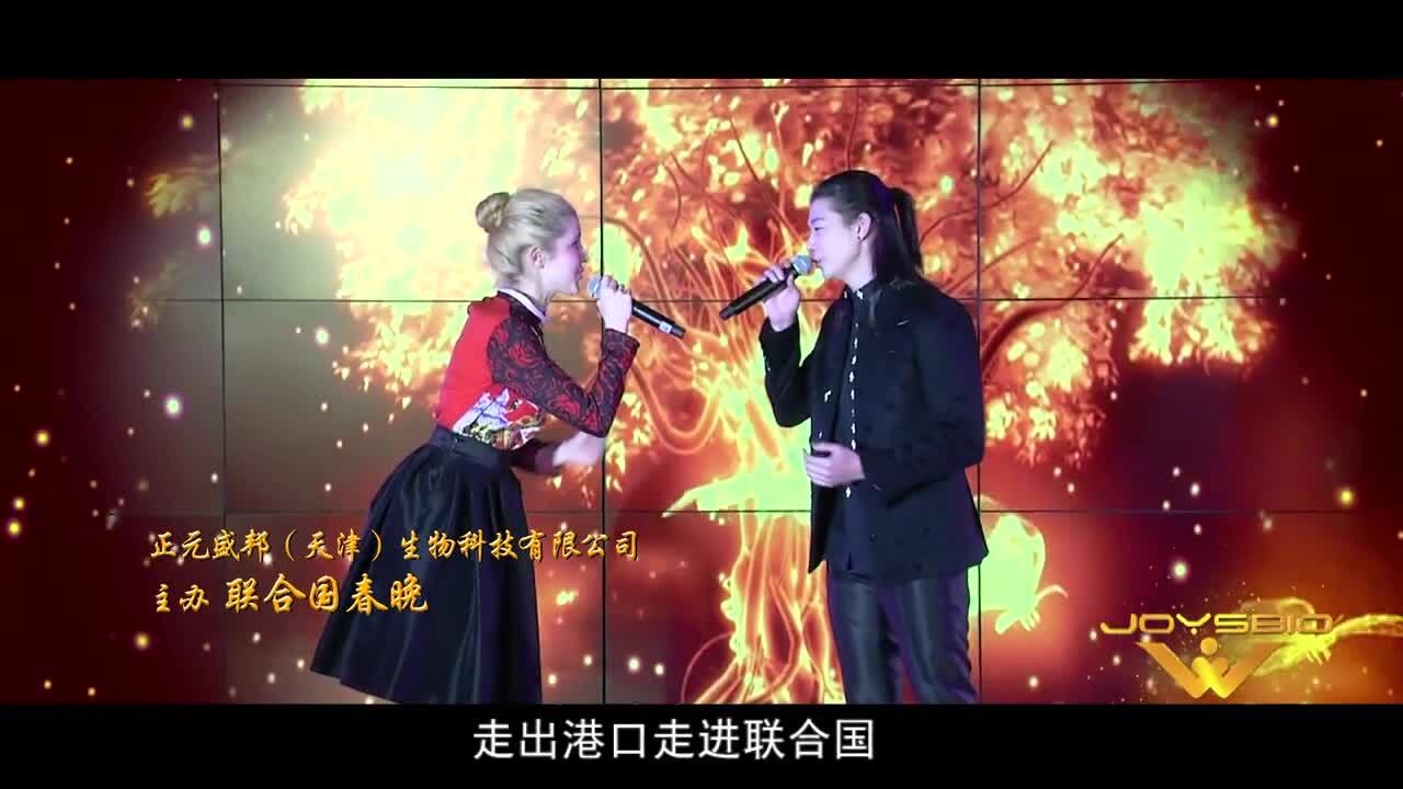北京正元盛邦集團(tuán)宣傳片