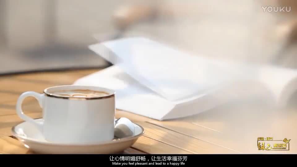 南京城市宣傳片《展望未來(lái)》