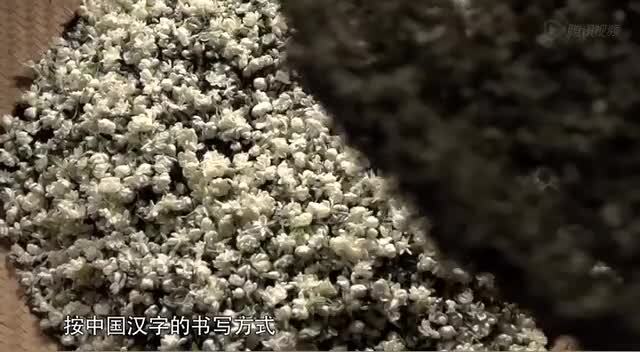 紀(jì)錄片《茶，一片樹葉的故事》-預(yù)告片