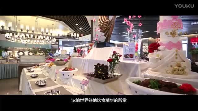 荷田大酒店宣傳片