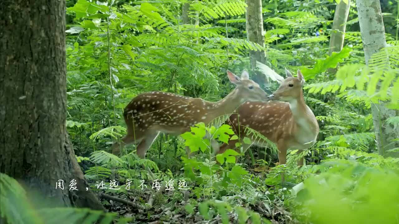 選擇旅行，選擇在路上……
