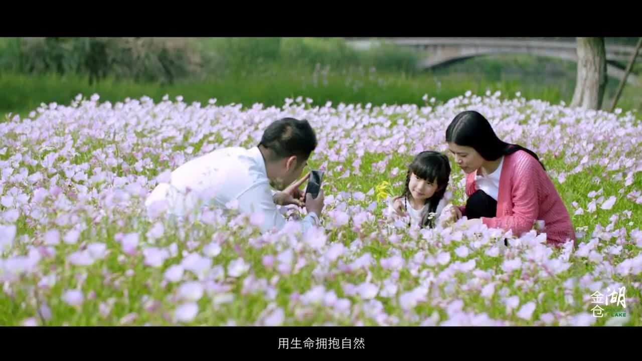 醉美金倉湖，養(yǎng)怡新境界。