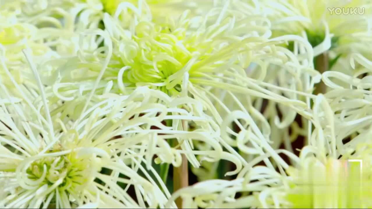 開(kāi)封國(guó)家園林城市宣傳片 謝猛配音 梵曲配音推薦