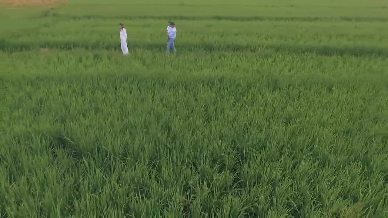 好多人說，這片子拍的還行