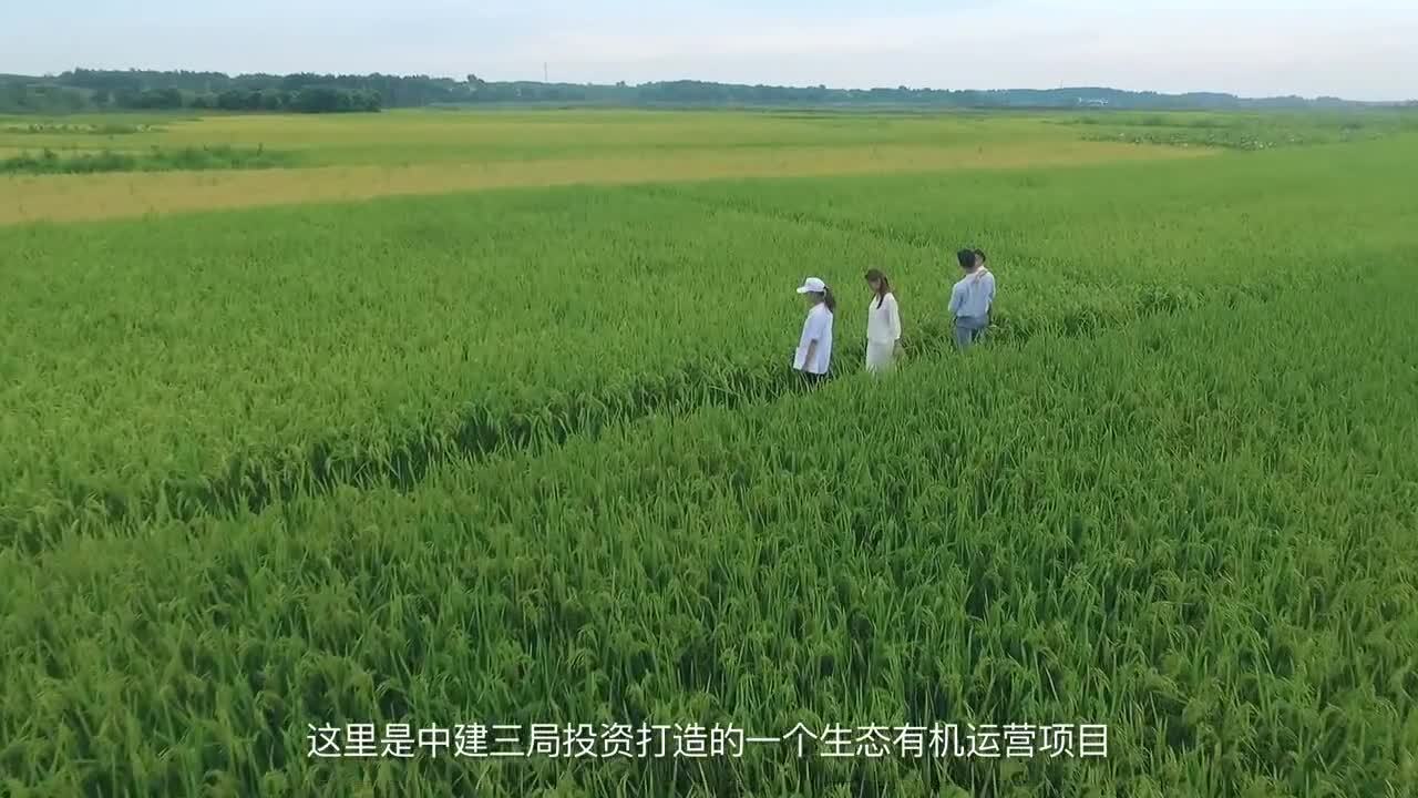 好多人說，這片子拍的還行