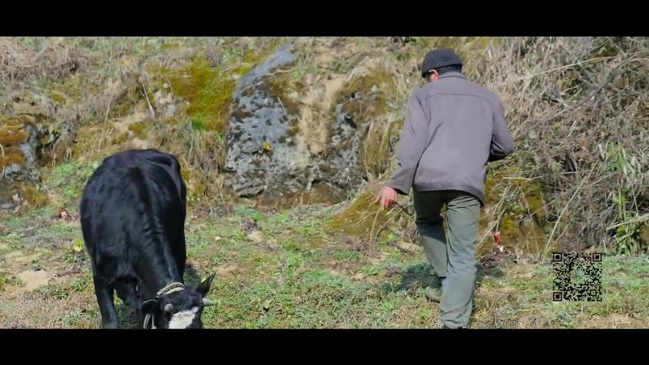 【艄公原創(chuàng)】正在消失的原始村落，黑山烏沉沉，陰風(fēng)吹死人！