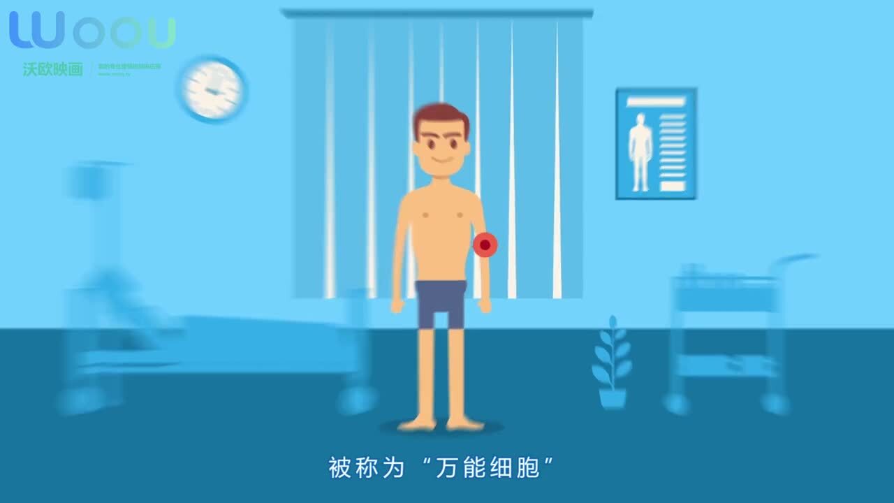 百年春干細(xì)胞