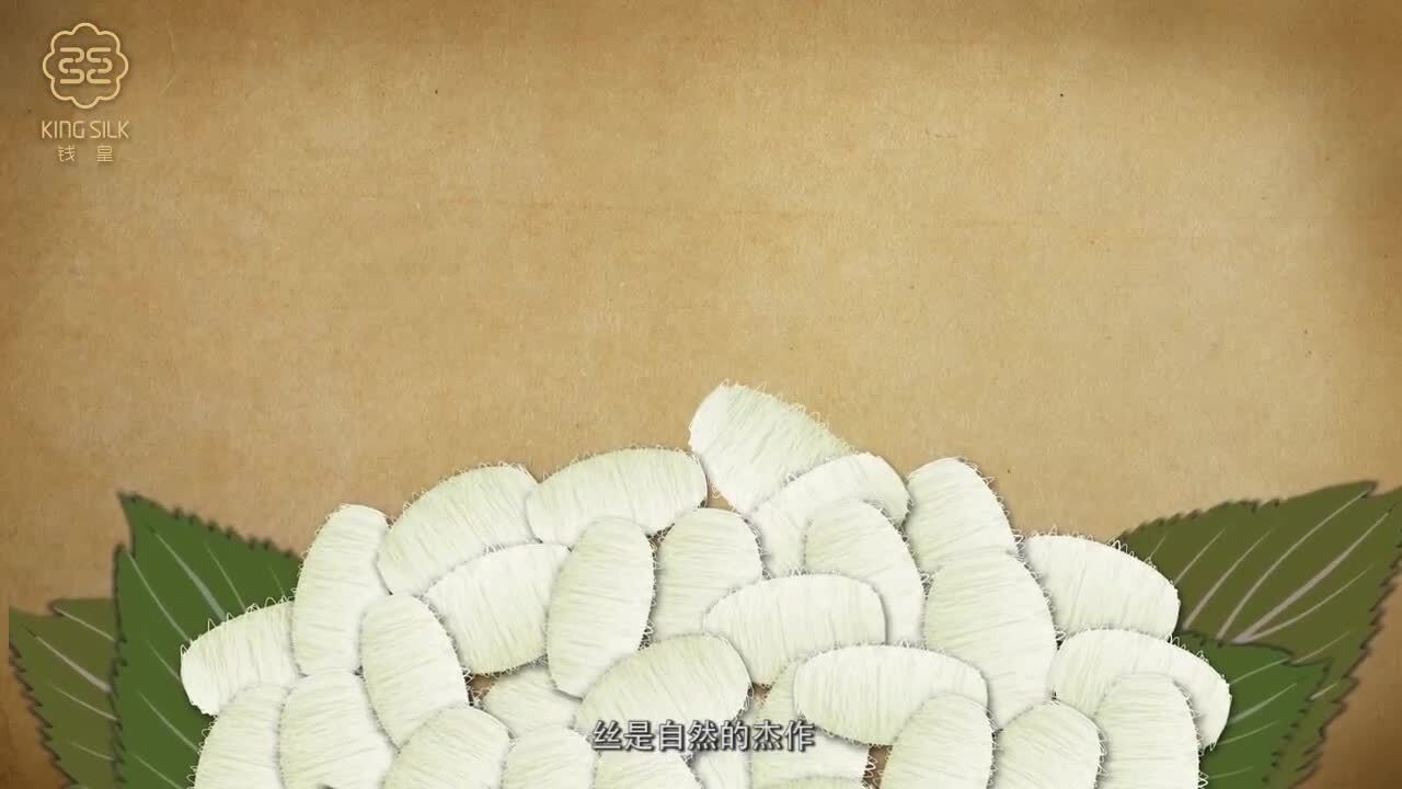 錢皇產(chǎn)品宣傳片帶您探索蠶絲從古到今的神奇秘密