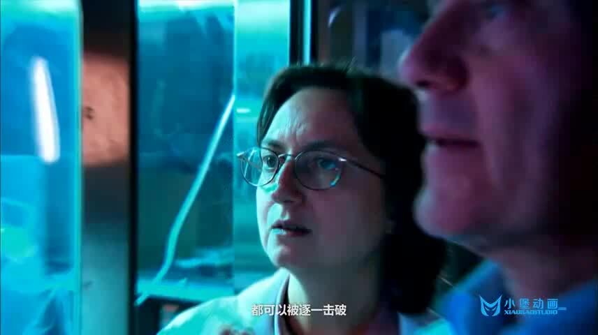 企業(yè)產(chǎn)品宣傳片制作  杭州玄貓動(dòng)畫